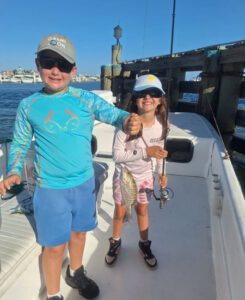 sunset cruises, gulf shores, boat, dolphins, cruise, gulf, shore, catch, kids, website, offshore, summer, exciting, grouper, guests, dinner, rods, person, forget