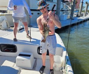 sunset cruises, gulf shores, orange beach area, boat, dolphins, cruise