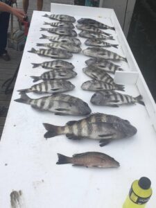 captiva island, fishing, boat, florida, redfish, trout, snook, snapper, catch, trips, inshore, offshore, anglers, mangrove